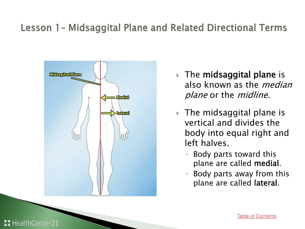 the midsaggital also known as the median plane