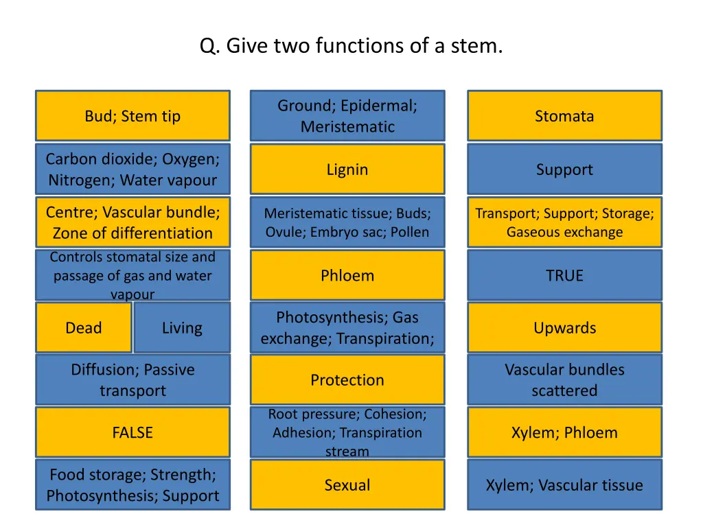 q give two functions of a stem