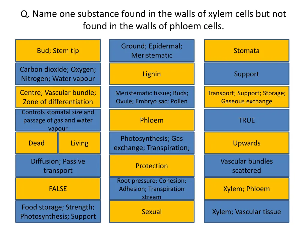 q name one substance found in the walls of xylem