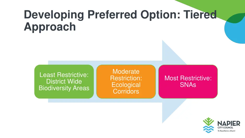 developing preferred option tiered approach