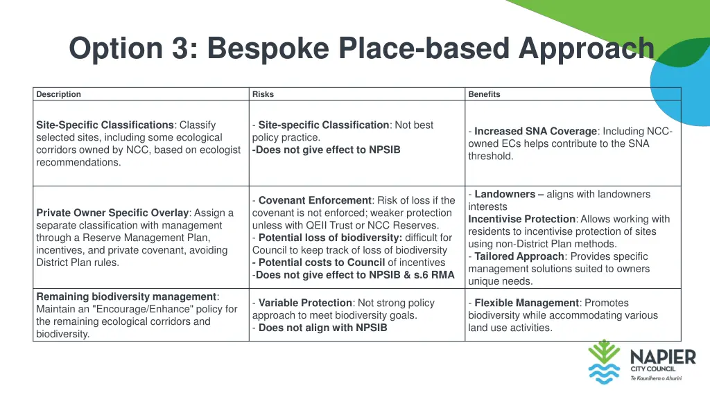 option 3 bespoke place based approach