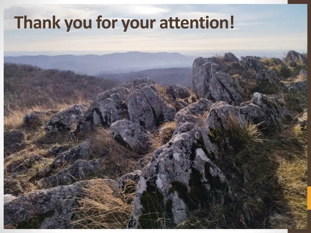 thank you for your attention