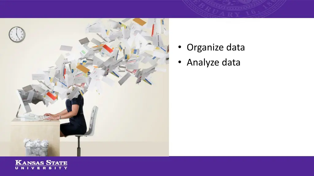 organize data analyze data