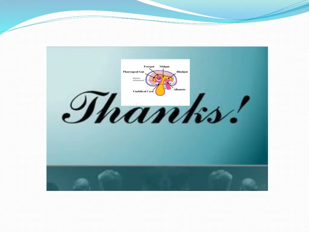 slide13