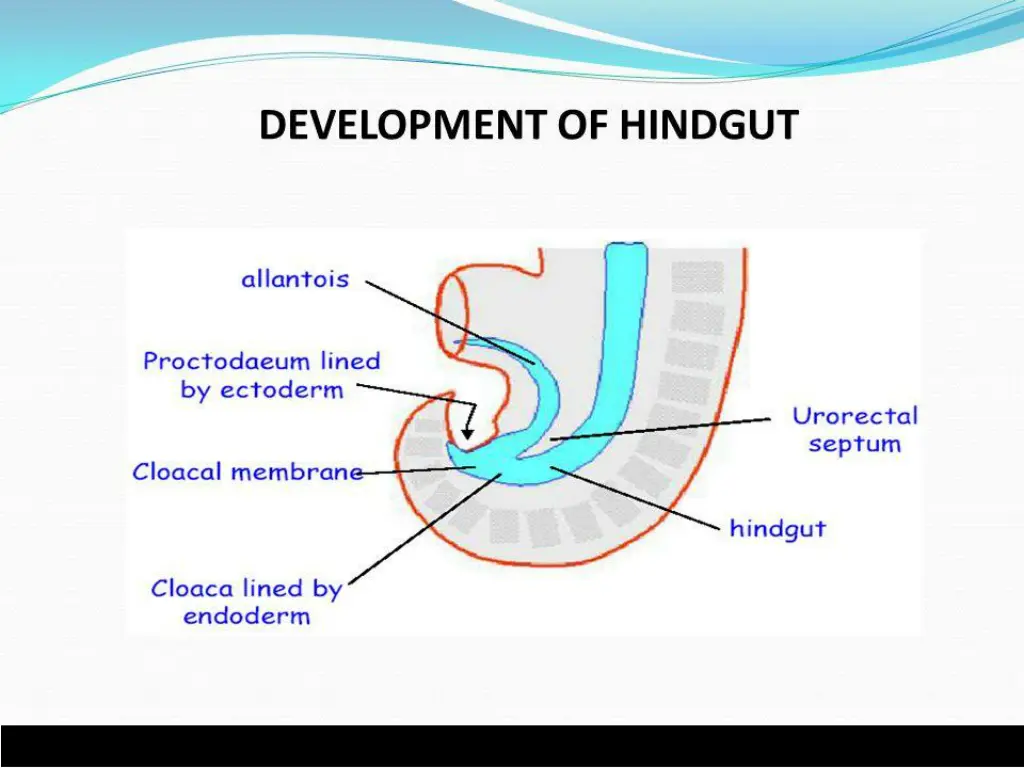 slide7