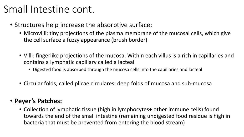 small intestine cont 1