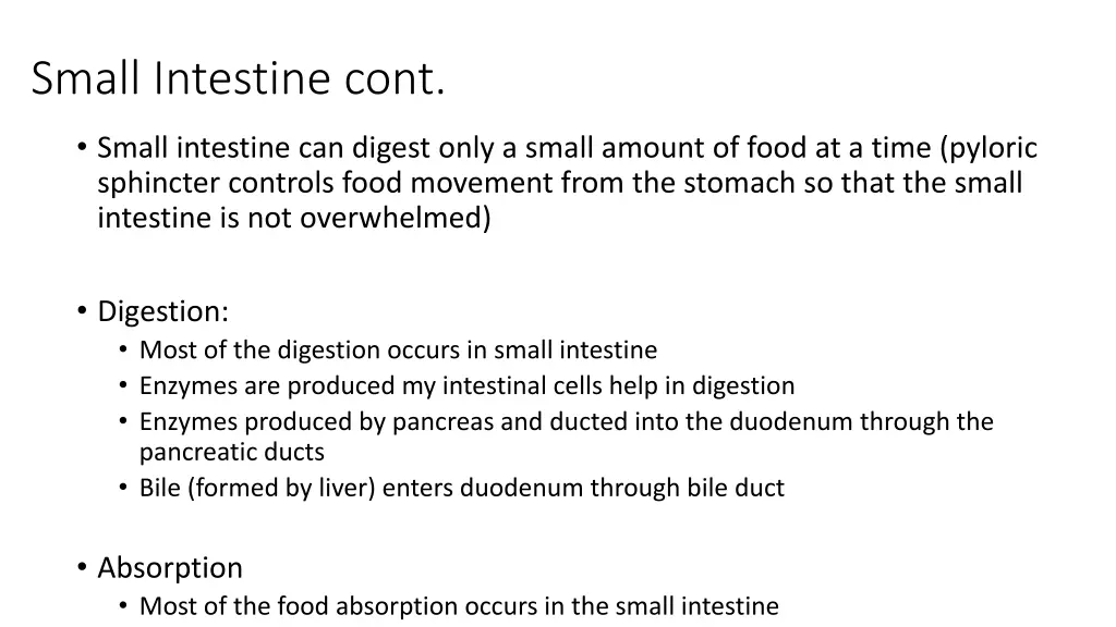 small intestine cont