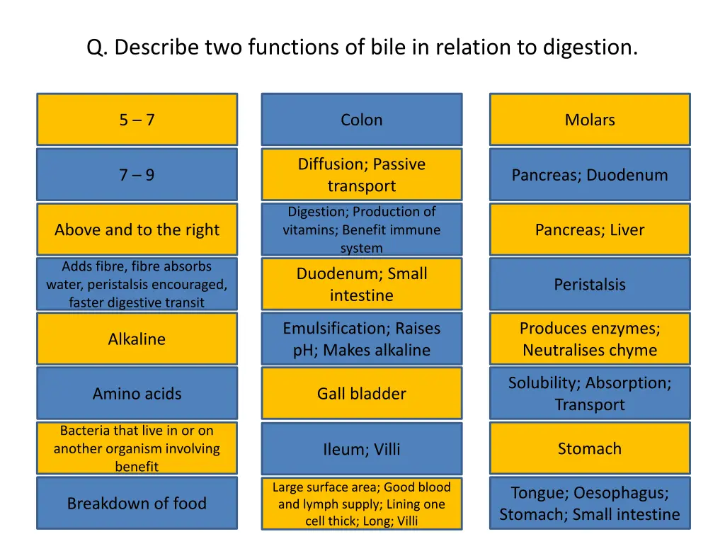 q describe two functions of bile in relation