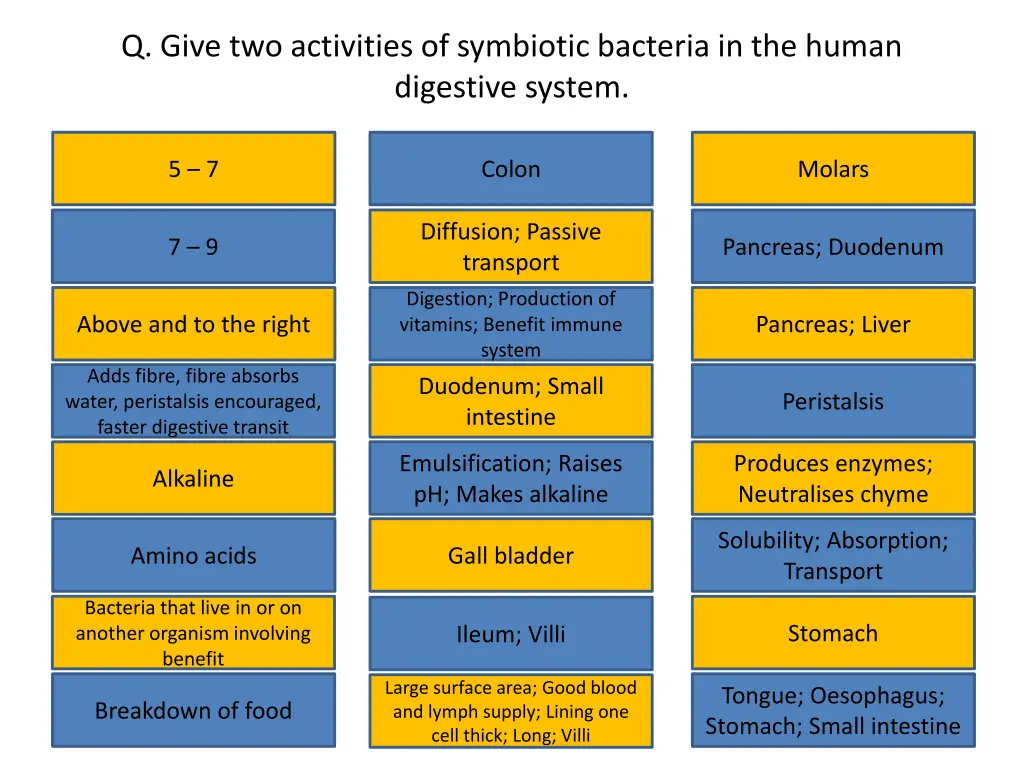 q give two activities of symbiotic bacteria