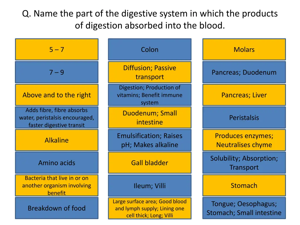 q name the part of the digestive system in which