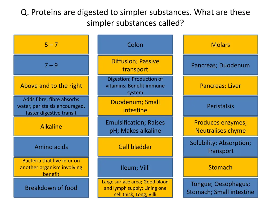 q proteins are digested to simpler substances