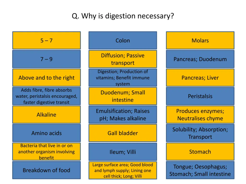 q why is digestion necessary