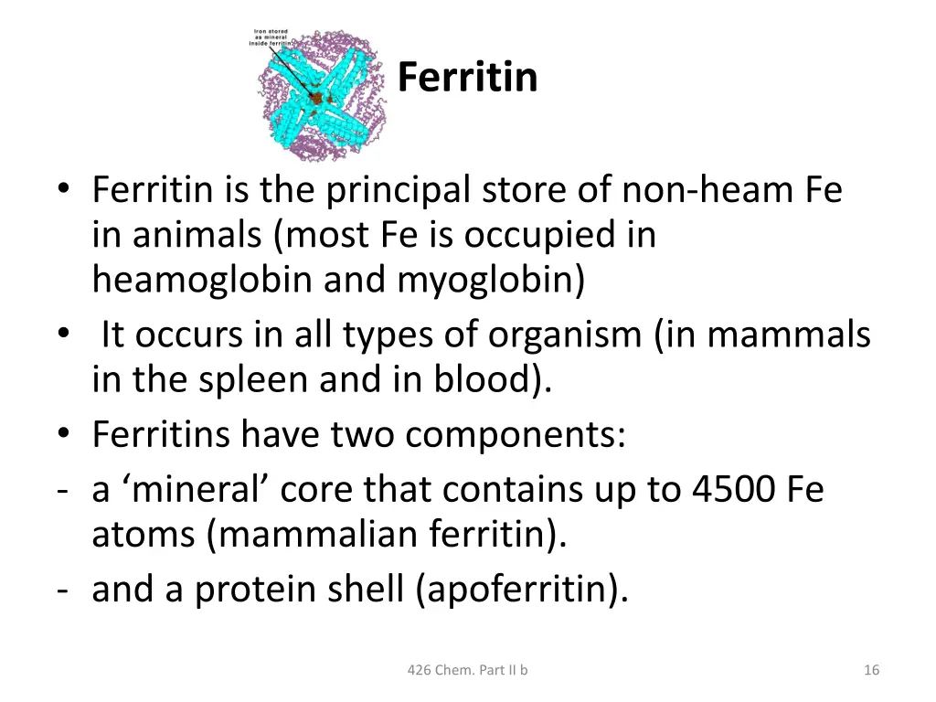 ferritin