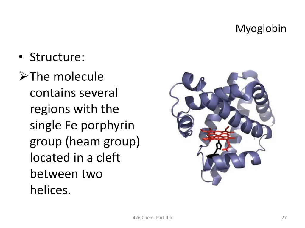 myoglobin 1