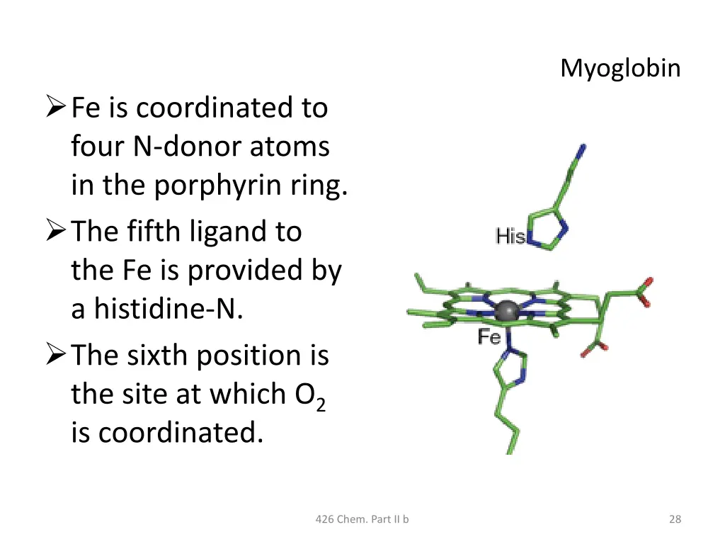 myoglobin 2