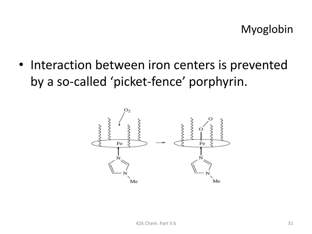 myoglobin 5