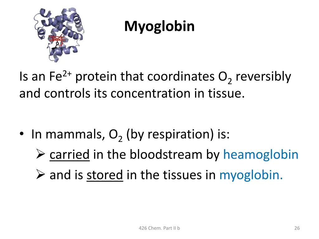 myoglobin