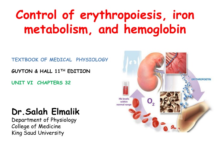 control of erythropoiesis iron metabolism