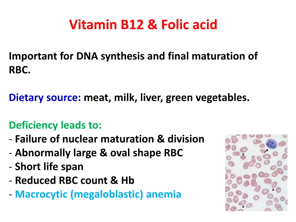 vitamin b12 folic acid