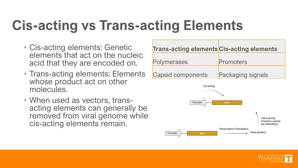 cis acting vs trans acting elements