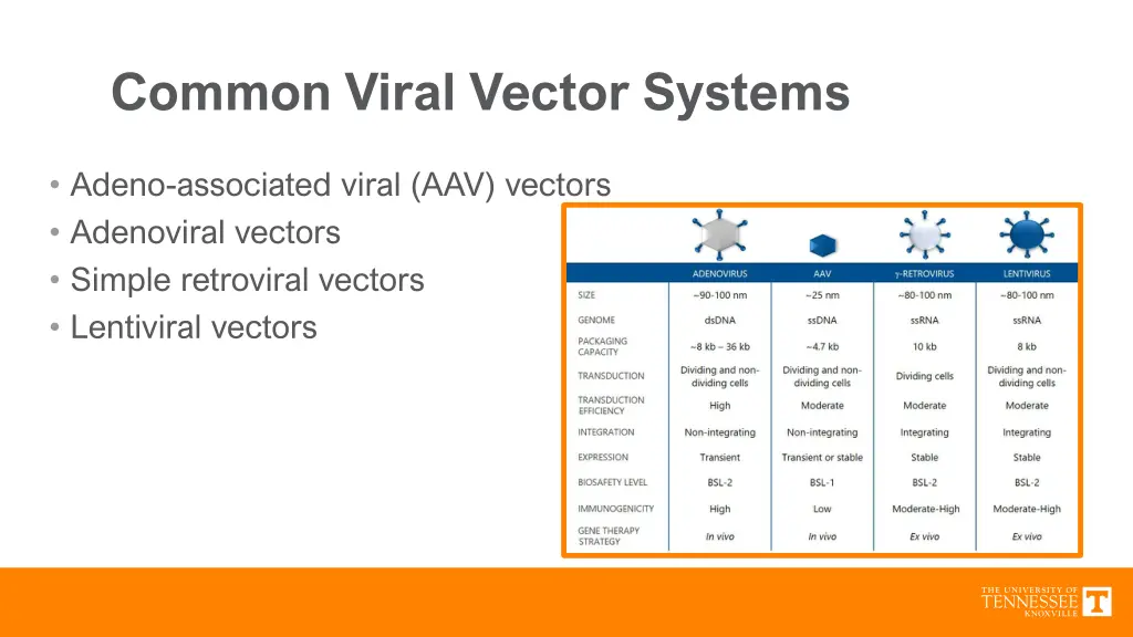 common viral vector systems