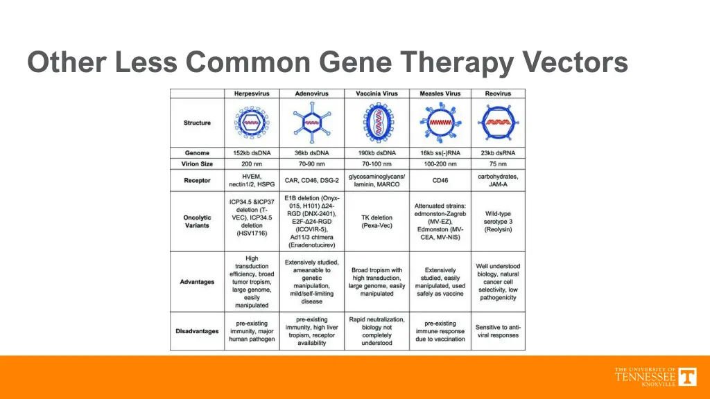 other less common gene therapy vectors