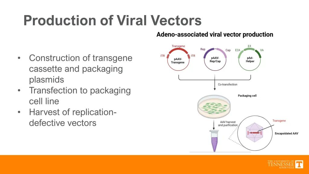 production of viral vectors 1