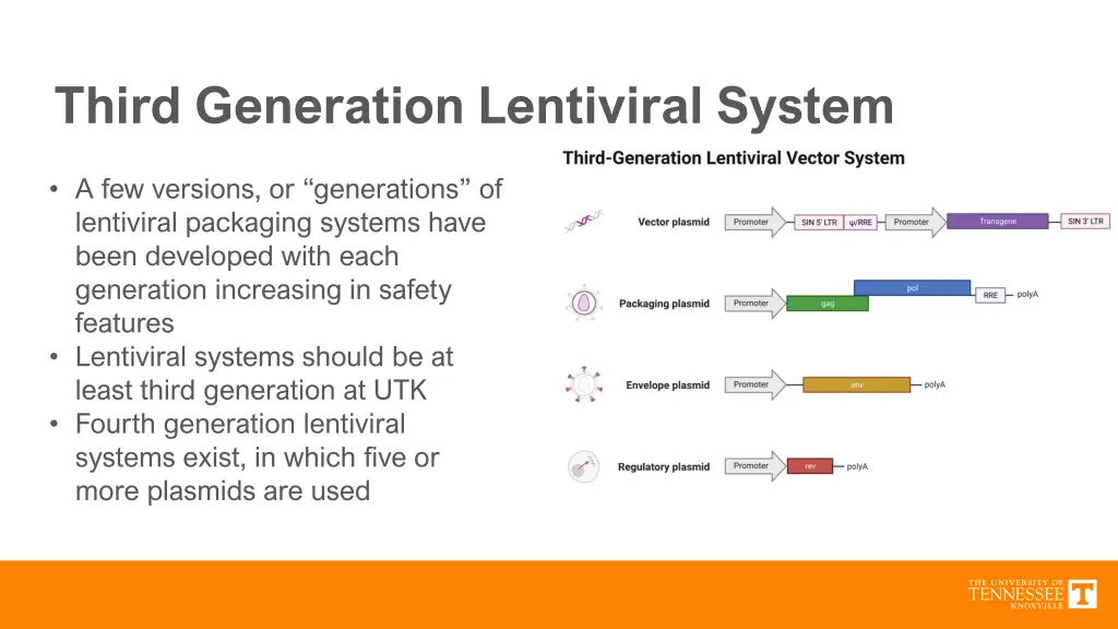 third generation lentiviral system