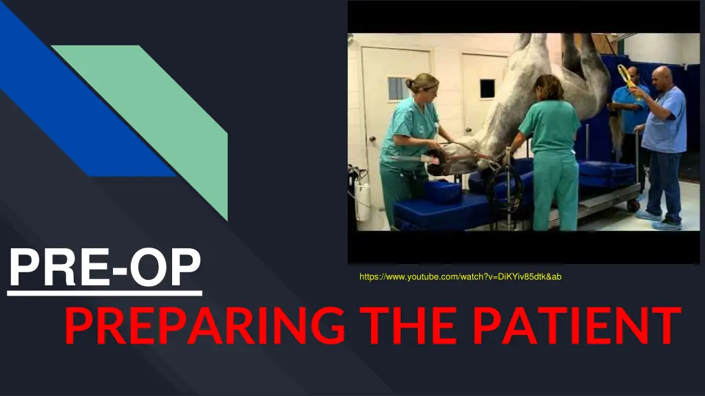 cryptorchid laparoscopy
