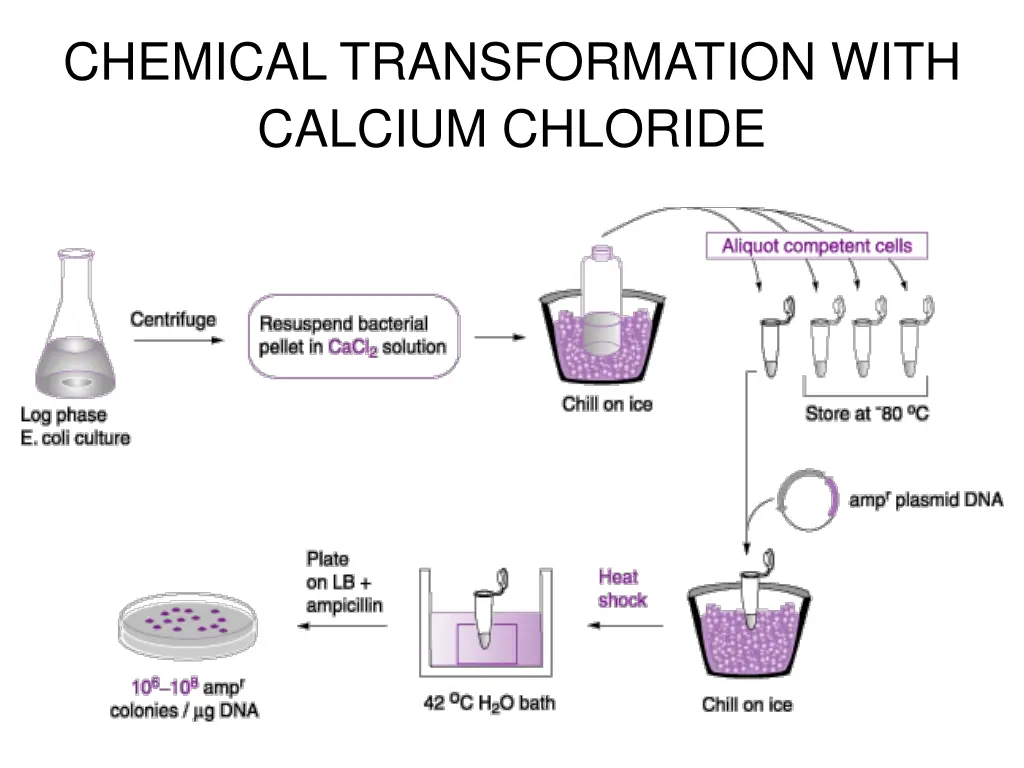 chemical transformation with calcium chloride