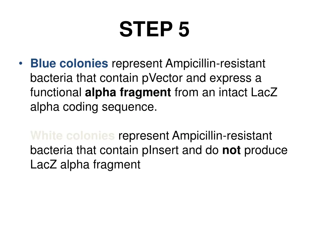 step 5