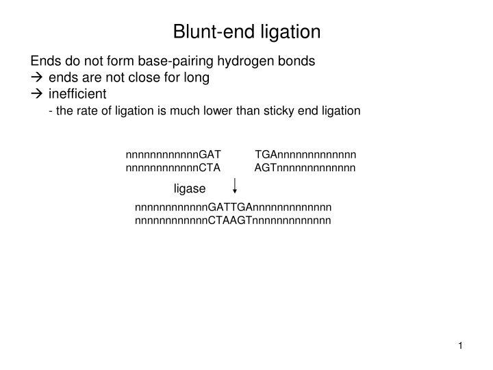 blunt end ligation
