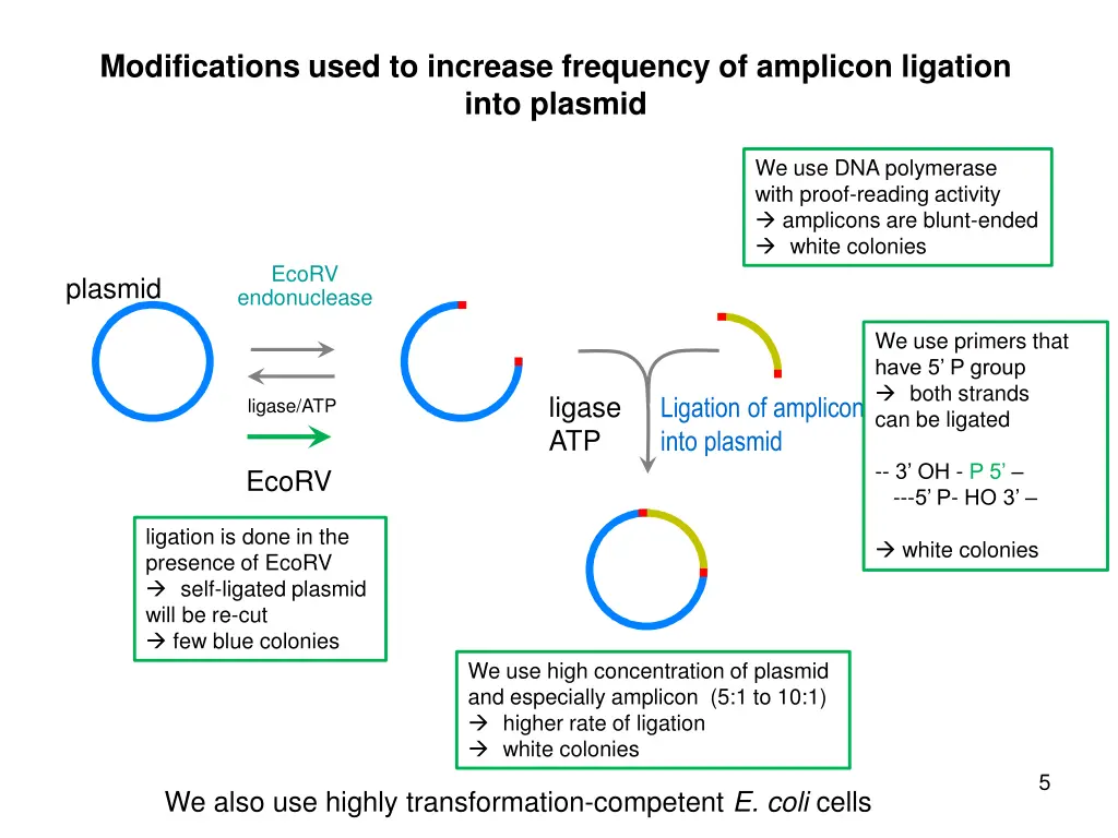 modifications used to increase frequency