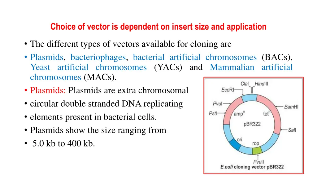 choice of vector is dependent on insert size