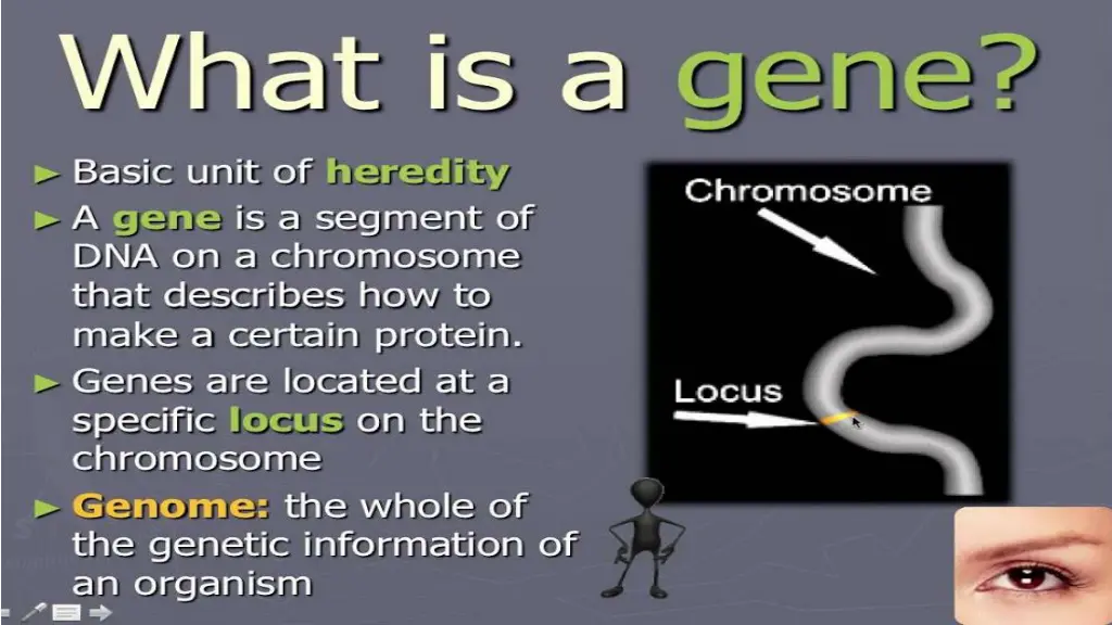 slide13