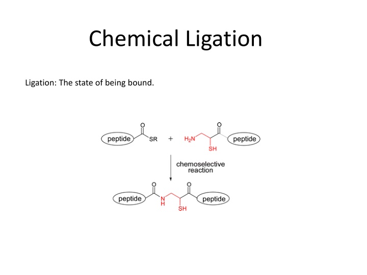 chemical ligation