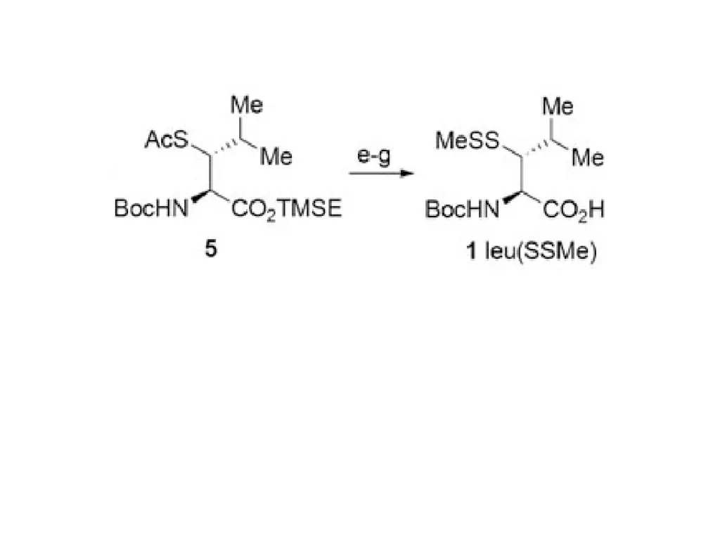 slide11