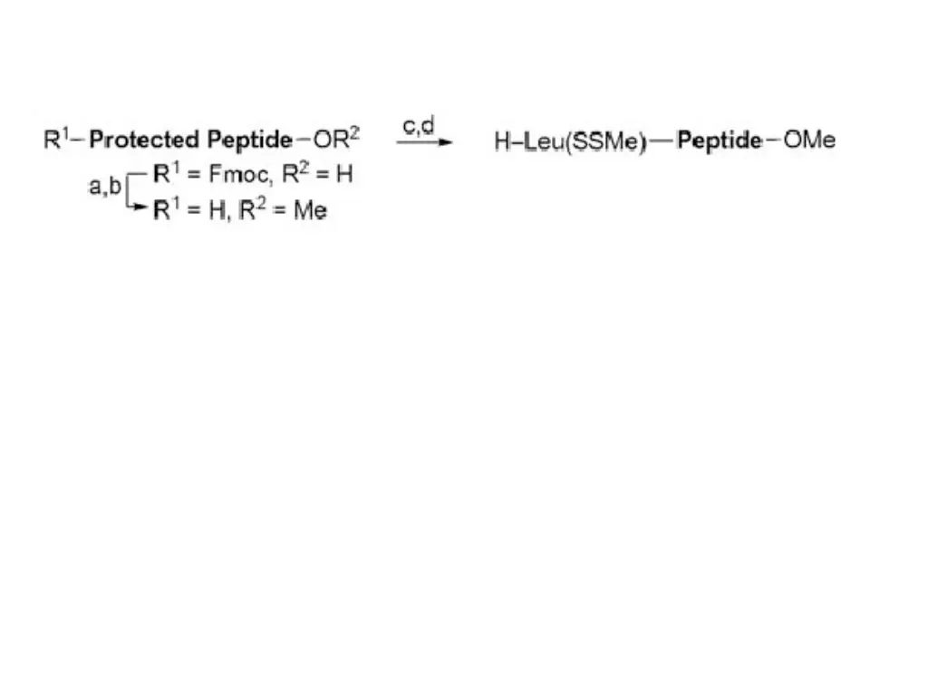 slide13