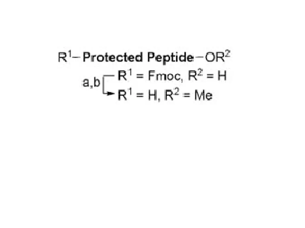 slide14