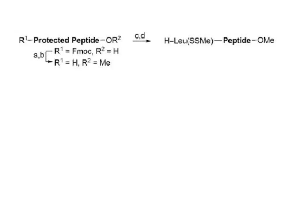 slide18