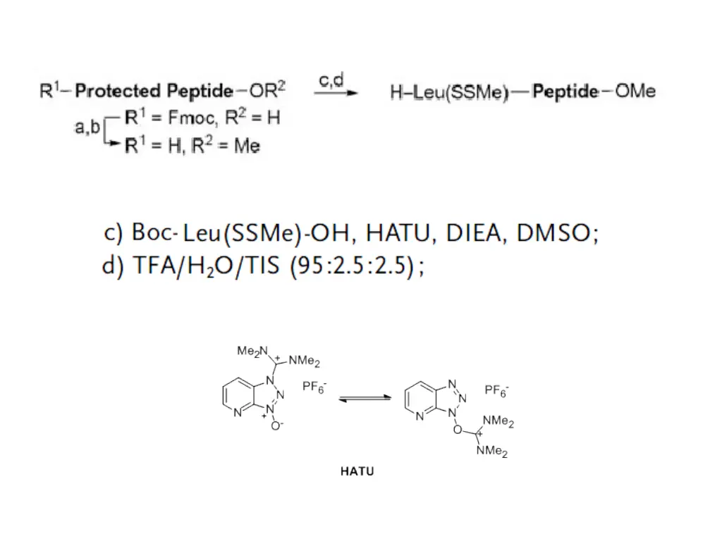 slide19
