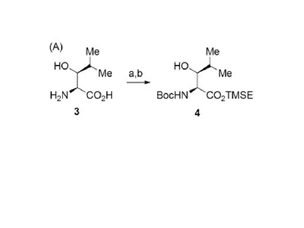 slide7