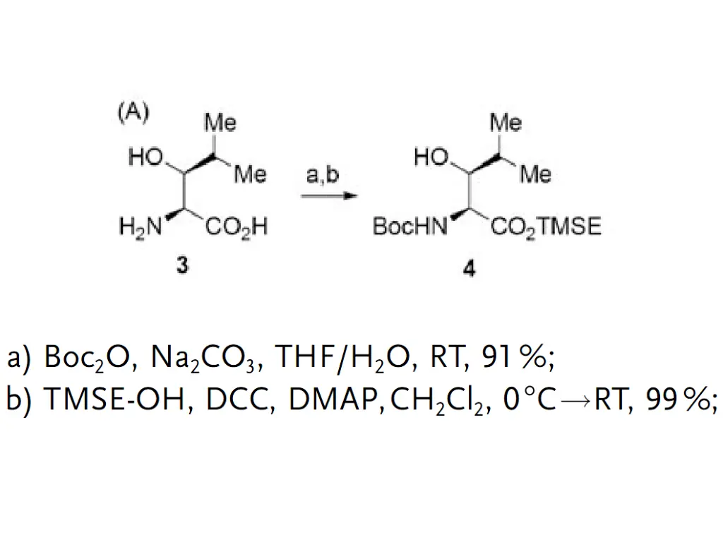 slide8