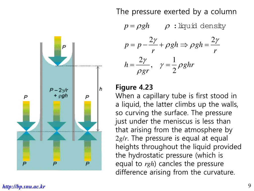 the pressure exerted by a column
