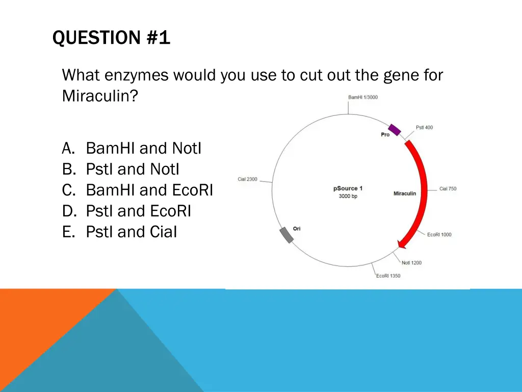 question 1