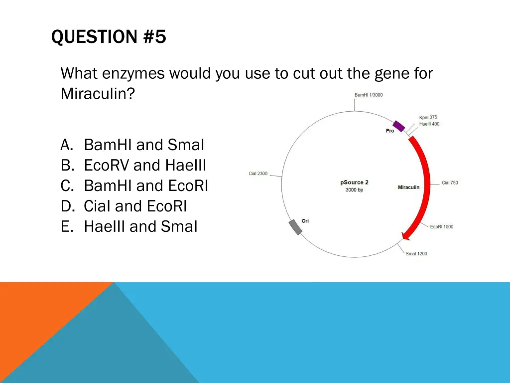 question 5