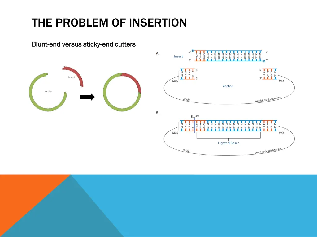 the problem of insertion