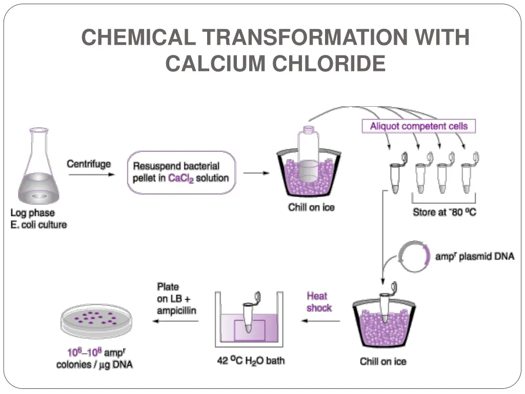 chemical transformation with calcium chloride