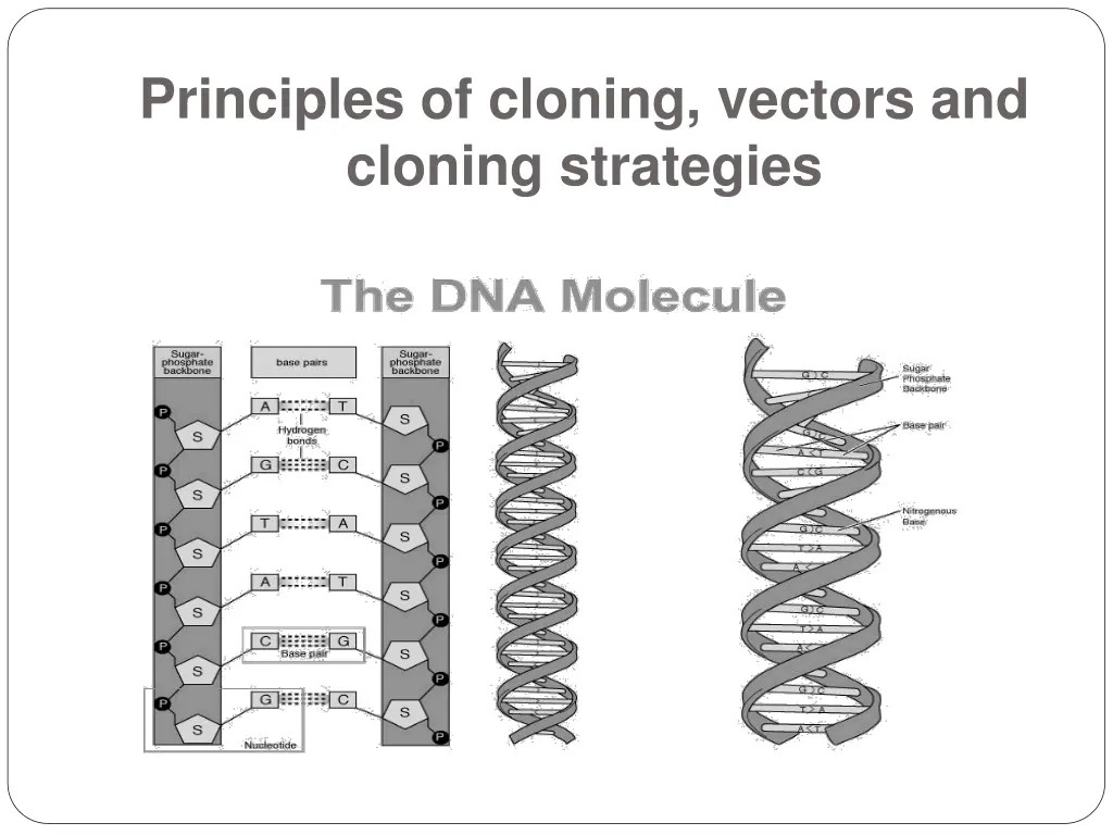 principles of cloning vectors and cloning 1