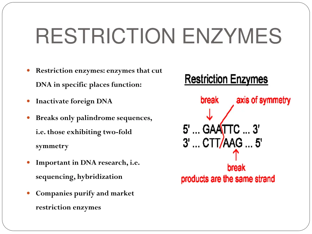 restriction enzymes